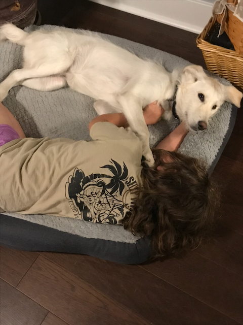 Auto-generated description: A child is lying next to a white dog on a large gray dog bed on a dark wooden floor.